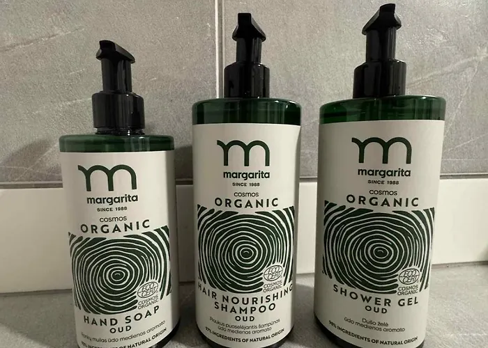 Panorama Balcony Work Castle View ヴィリニュス